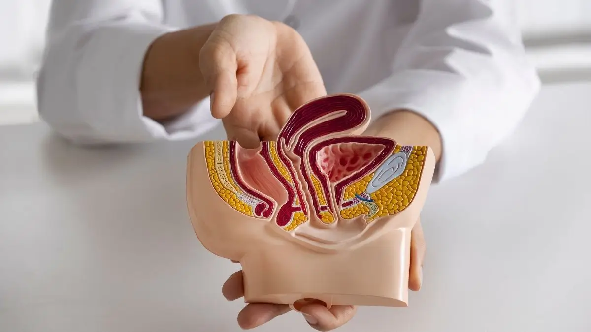 ماهو مرض تضخم البروستاتا