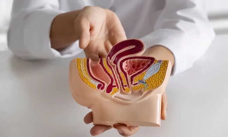 ماهو مرض تضخم البروستاتا