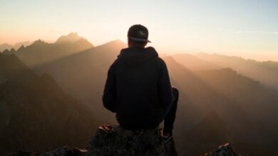 اقتباسات رائعة