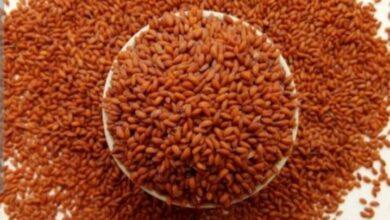 فوائد حب الرشاد للأعصاب