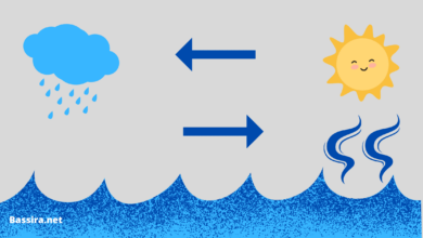كيف يكون بخار الماء المتصاعد