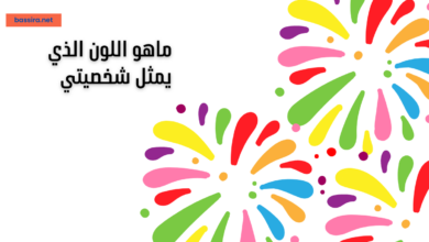 اللون الذي يمثل شخصيتي