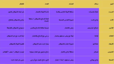 جدول وجبات دايت